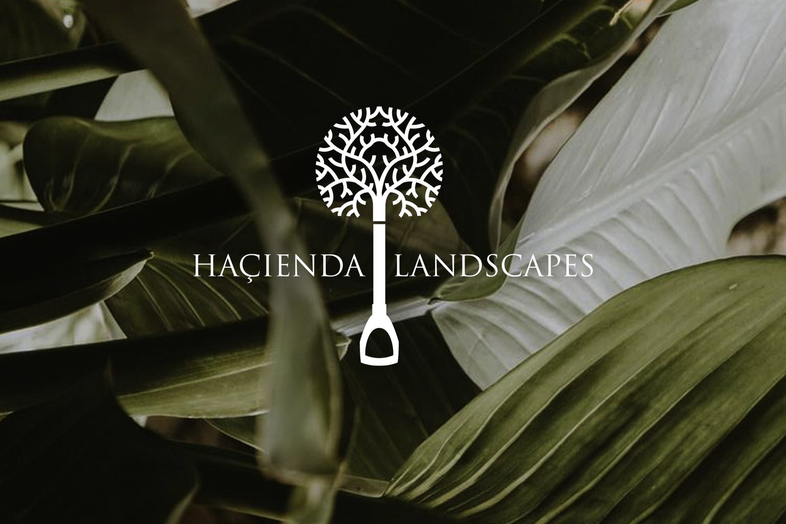 Hacienda Landscapes outdoor landscaping project