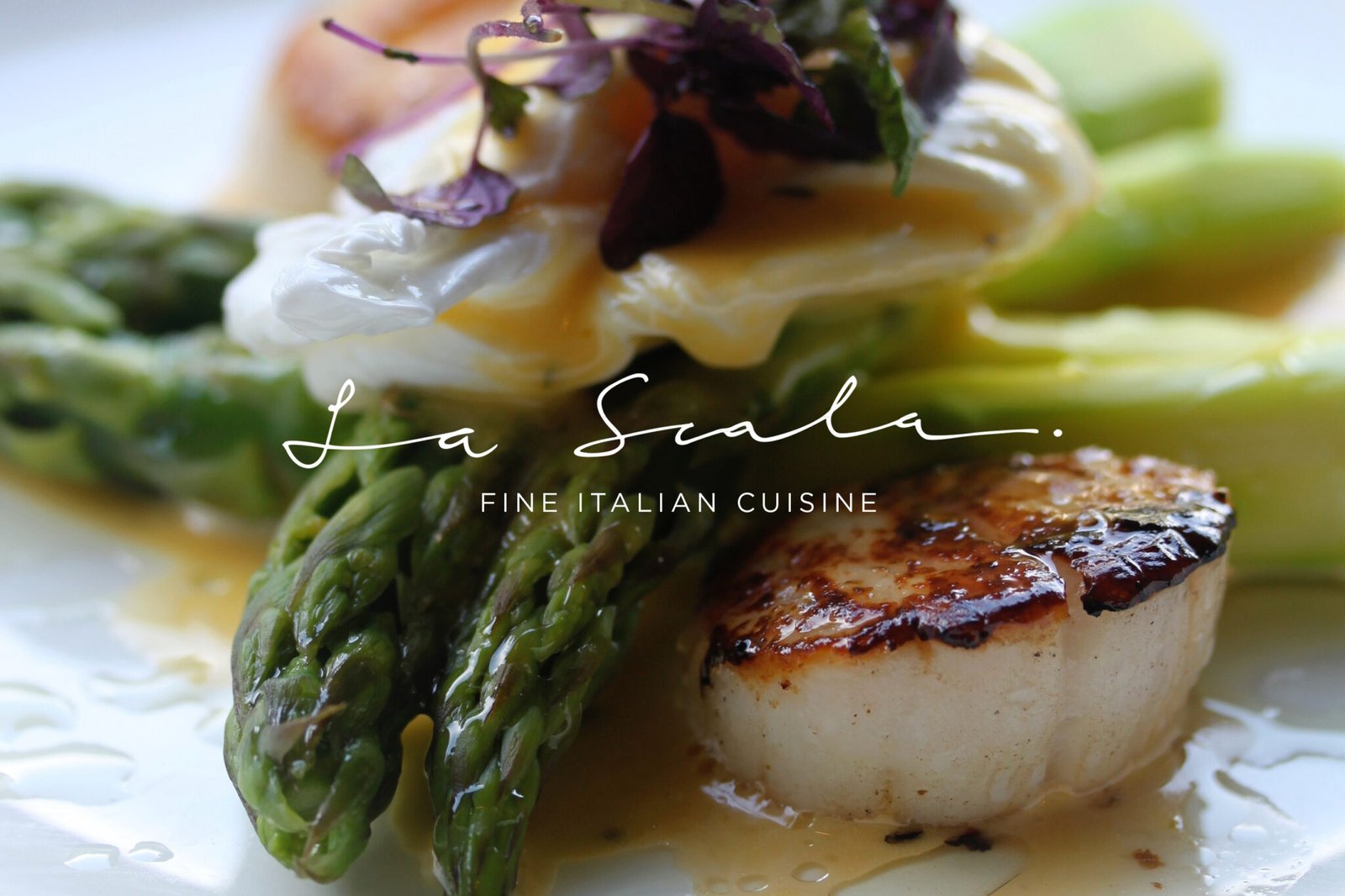 La Scala Fine Italian Cuisine project